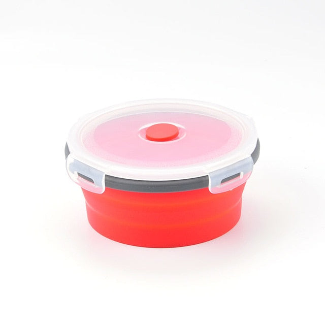 Foldable Lunch Box With Lid Tay (4 Colors)