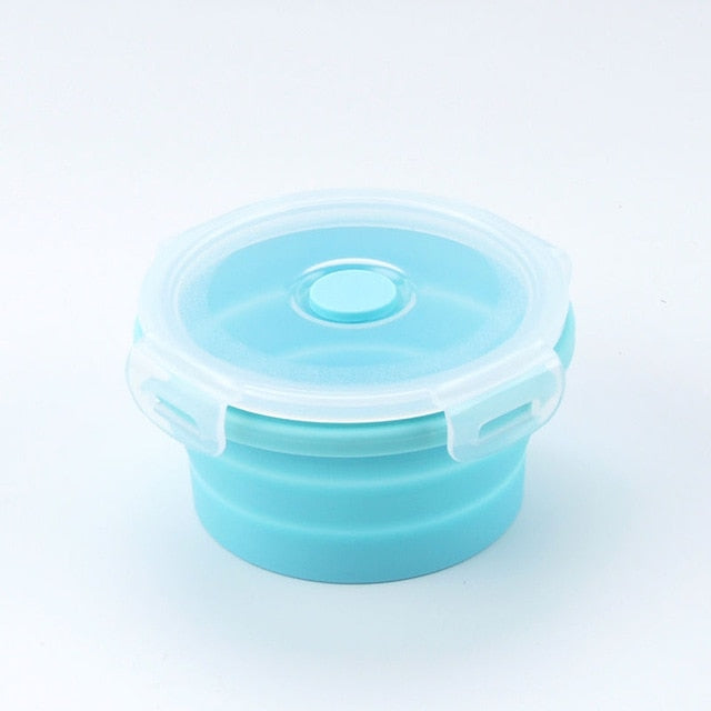 Foldable Lunch Box With Lid Tyne (4 Colors)