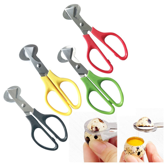 Tijeras de huevo Donatello (4 colores)
